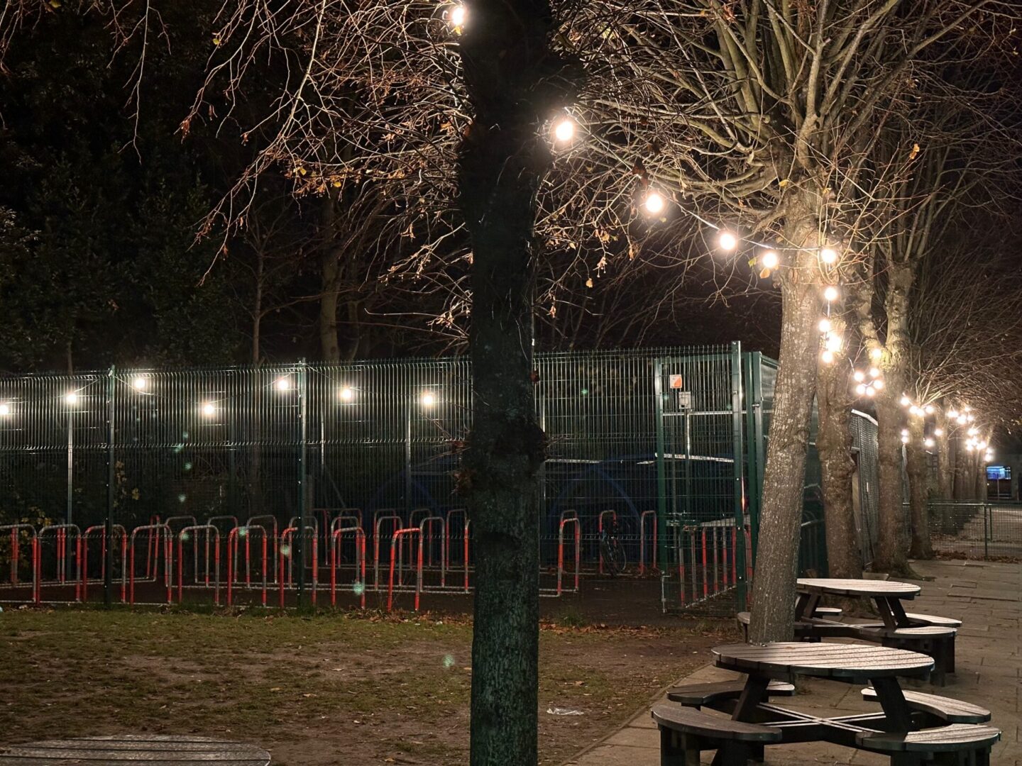 Festoon Lighting