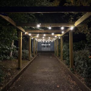 Festoon lighting
